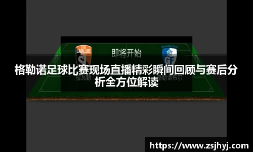 格勒诺足球比赛现场直播精彩瞬间回顾与赛后分析全方位解读